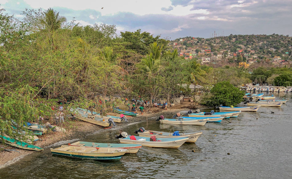 campania-reforestacion-zihuatanejo-las-salinas-2019--____.jpg