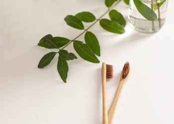 Two brown bio-degradable, compostable bamboo toothbrushes on white background. Green plant decor in background.