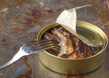 Small smoked fish in tincan on table with fork
