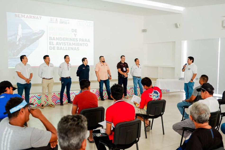 banderines-cooperativas-pesqueras-avistamiento-ballenas-zihuatanejo.jpg