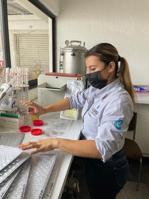 playas-limpias-temporada-decembrina-ixtapa-zihuatanejo-2022