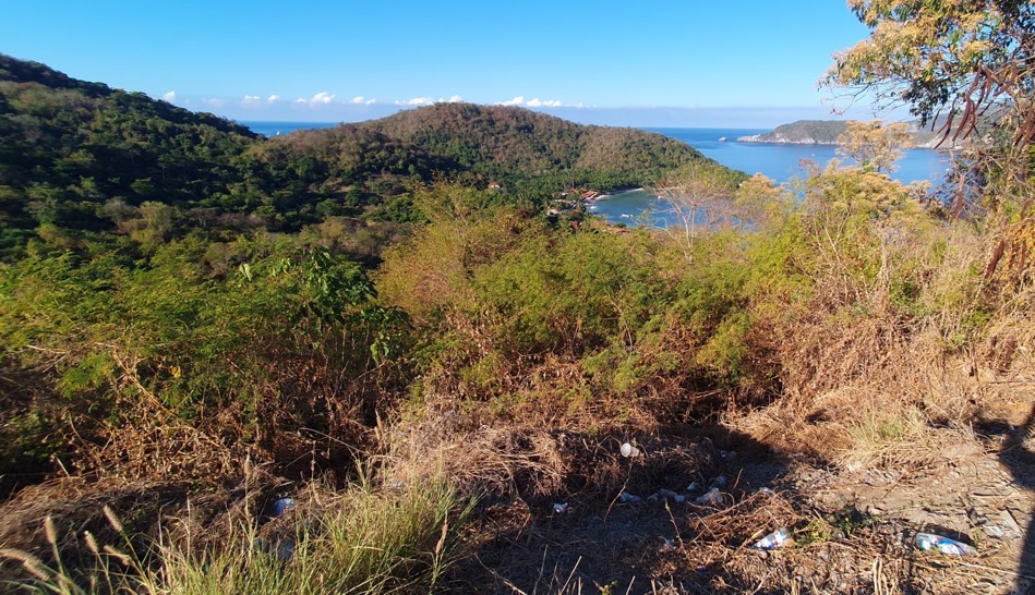 basura-cerro-vigia-zihuatanejo-jovenes.jpg