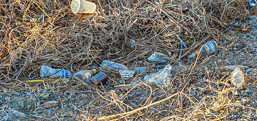 basura-cerro-vigia-zihuatanejo-jovenes.jpg