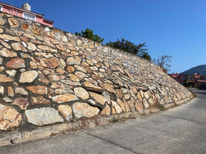 problema-muro_ Flamingos-ixtapa.jpg
