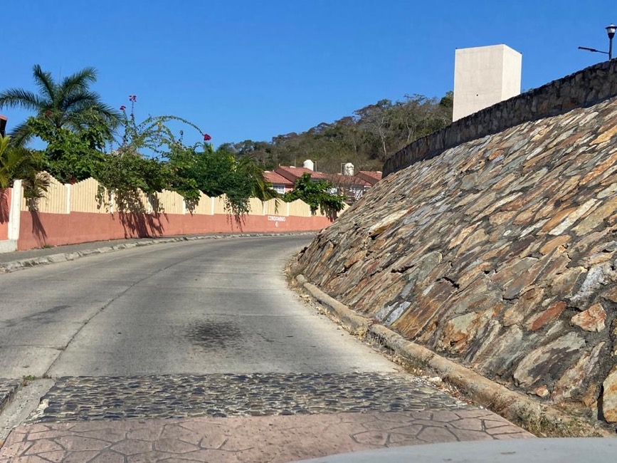 problema-muro_ Flamingos-ixtapa.jpg