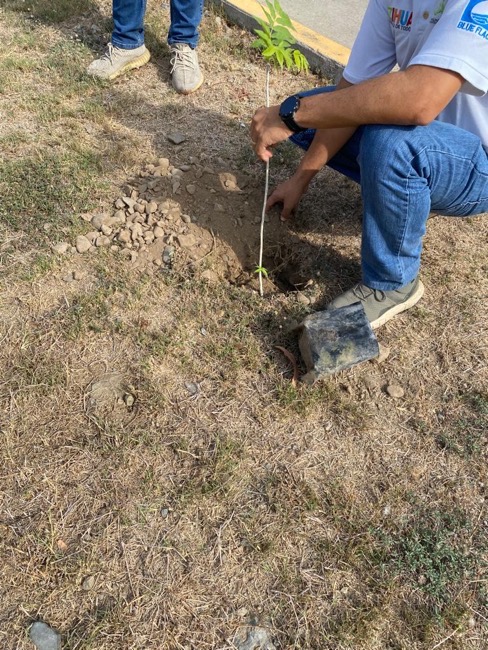 vecinos-playa-la-ropa-reforestan_.jpg vecinos-playa-la-ropa-reforestan_.jpg