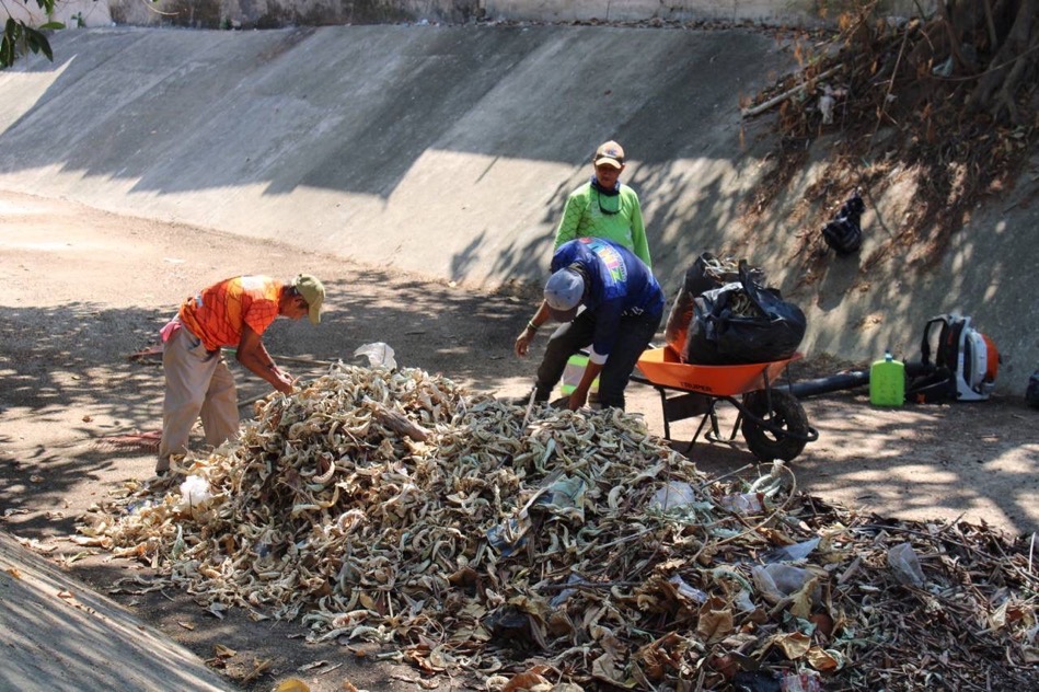 limpieza-canales-lluvias_zihuatanejo_sp.jpg
