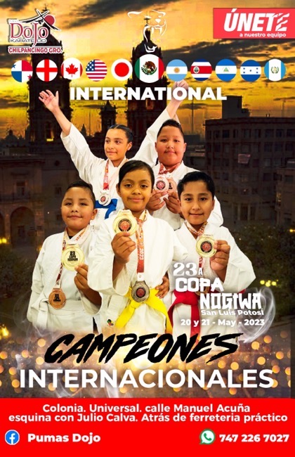 ninos-chilpancingo-campeones-guerrero_karate.jpg