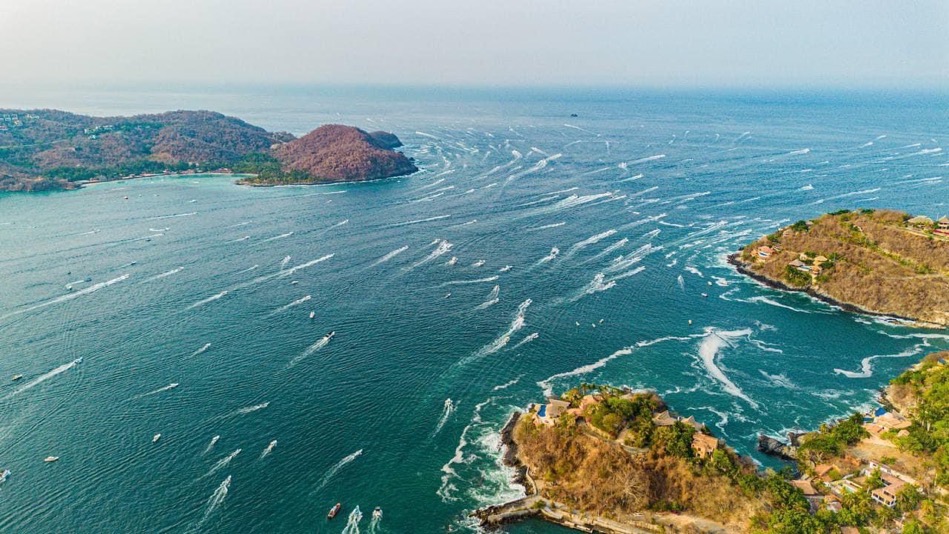 torneo-internacional-de-la-pesca-del-pez-vela-2023-zihuatanejo.jpg