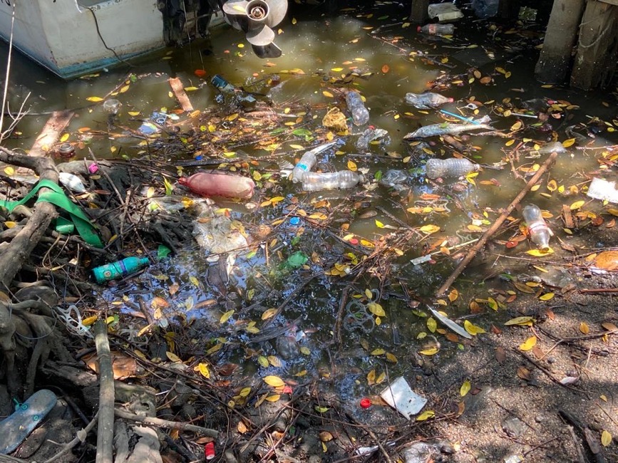 basura-laguna-salinas-zihuatanejo_.jpg