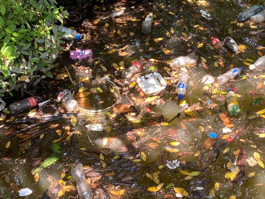 basura-laguna-salinas-zihuatanejo_.jpg