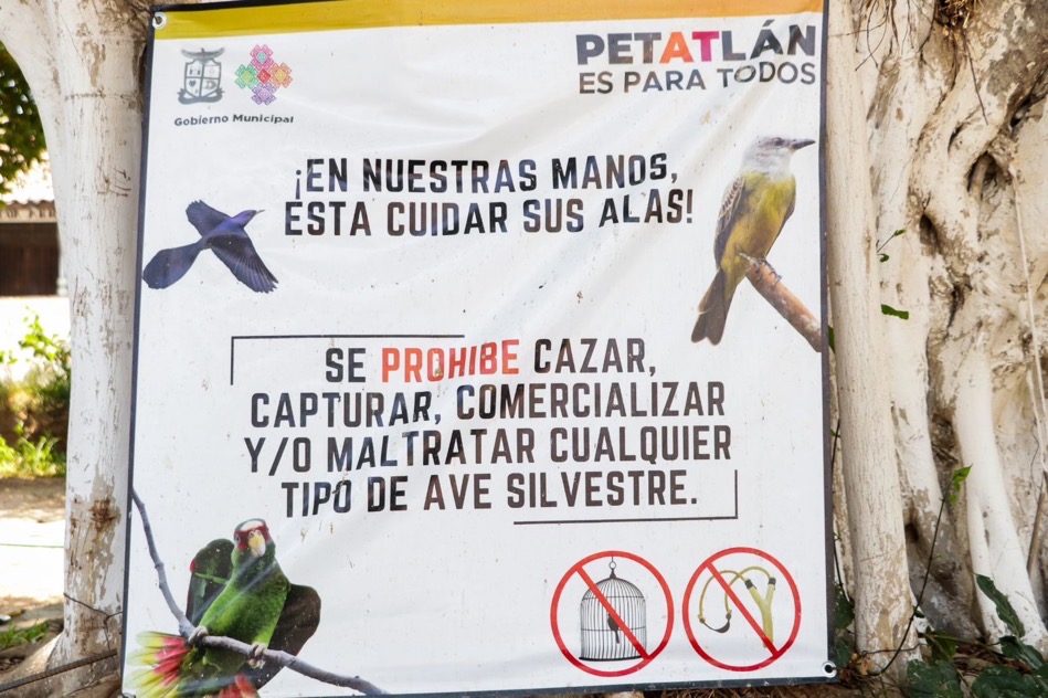 el-tocumbo-verifica-obra-explanada-municipal-petatlan-avances.jpg el-tocumbo-verifica-obra-explanada-municipal-petatlan-avances.jpg