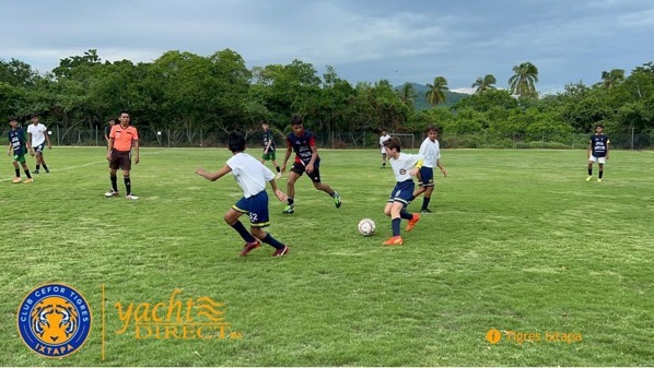 Cefor-tigres-ixtapa_.jpg