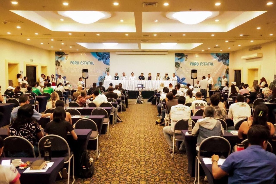 foro-estatal-totugas-marinas-zihuatanejo-gob.jpg