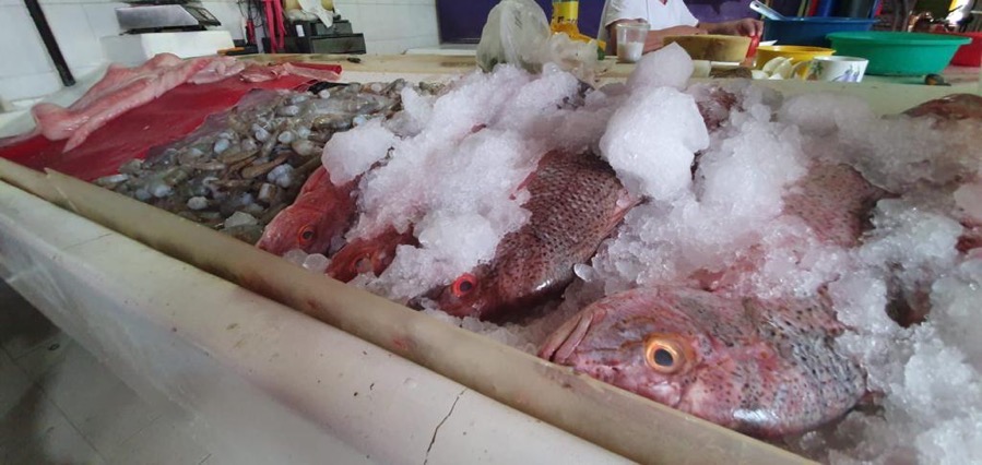 hielo-zihuatanejo-alza.jpg