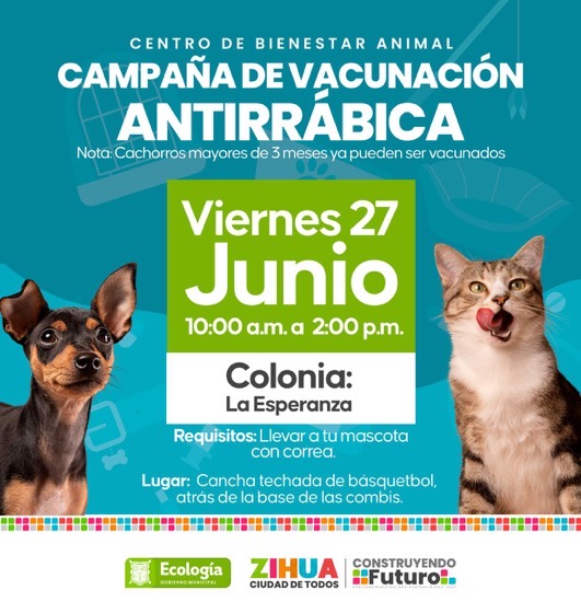 actividades-zihuatanejo-2025-jun-.jpeg