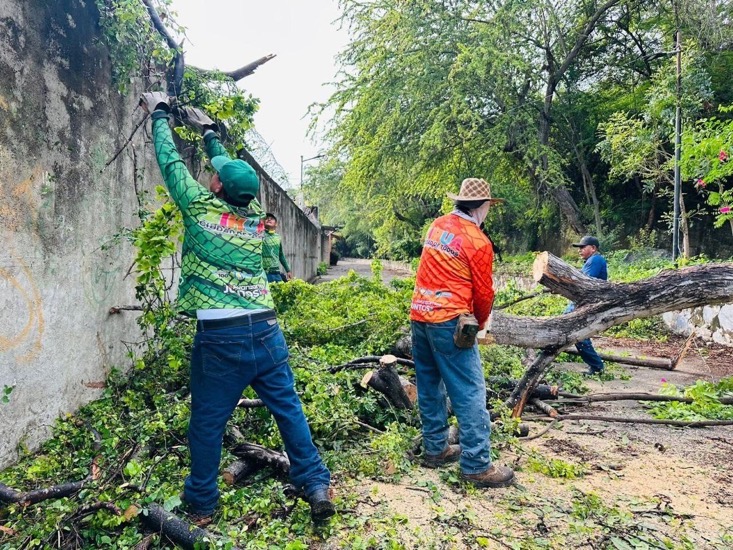 afectaciones-lluvia-zihuatanejo-2025-jun-erick-h.jpeg