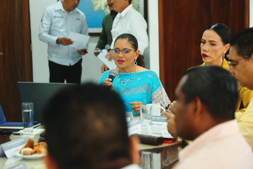 presidentes-municipales-costa-grande-zihuatanejo-desarrollo-economico-2025-jul.jpeg