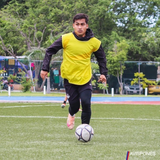 Soloache-zihuatanejo-avispones-.jpeg Soloache-zihuatanejo-avispones-.jpeg