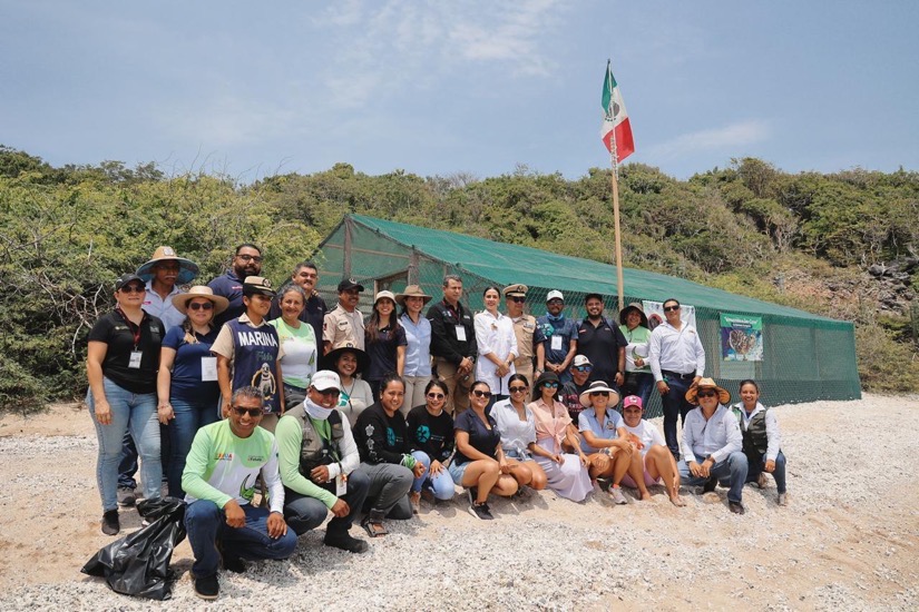 campamento-tortuguero-isla-de-ixtapa-2025.jpeg