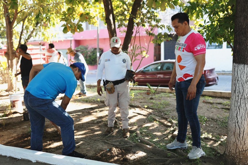 gob-limpios-parques-jardines-zihuatanejo-2025-.jpeg gob-limpios-parques-jardines-zihuatanejo-2025-.jpeg