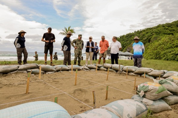 guardianes-de-la-costa-zihuatanejo-playa-majahua-2025.jpeg