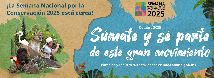 conanp-semana-2025-ixtapa-zihuatanejo.png conanp-semana-2025-ixtapa-zihuatanejo.png