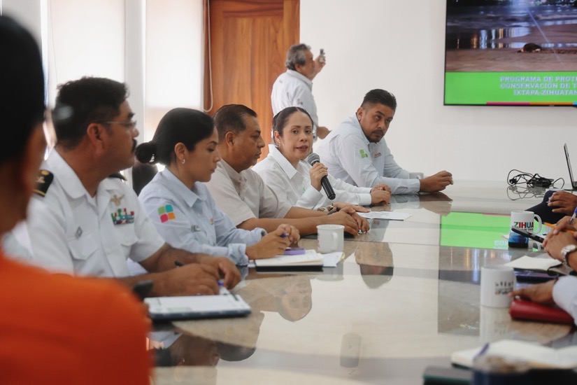 resultados-proteccion-tortugas-marinas-zihuatanejo-2025-.jpeg resultados-proteccion-tortugas-marinas-zihuatanejo-2025-.jpeg