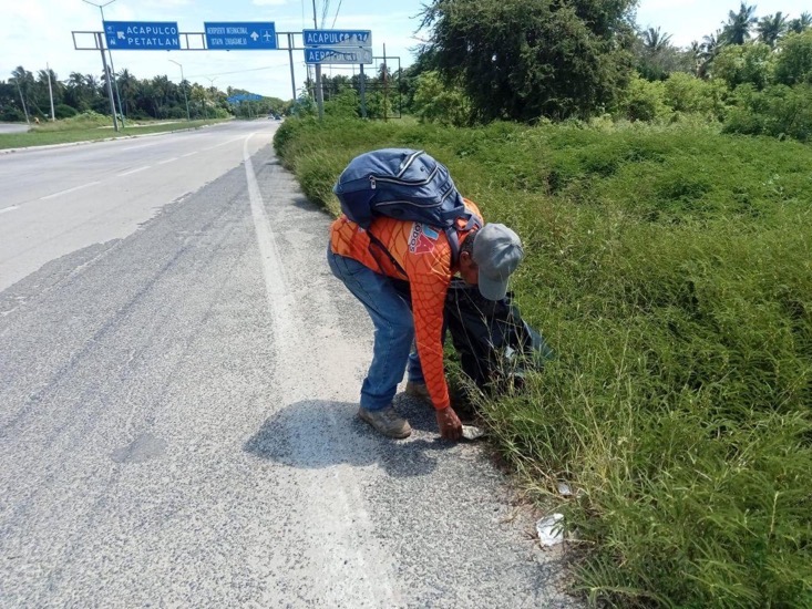 servicios-publicos-trabajo-constante-zihuatanejo-2025-.jpeg