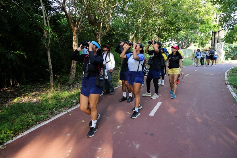 curso-avistamiento-aves-ixtapa-zihuatanejo-hoteles-azul-.jpeg curso-avistamiento-aves-ixtapa-zihuatanejo-hoteles-azul-.jpeg