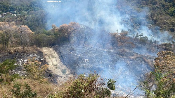 incendios-forestales-zihuatanejo-2026-feb-.jpeg incendios-forestales-zihuatanejo-2026-feb-.jpeg