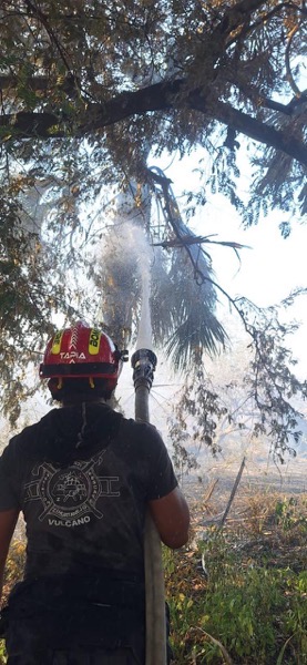 incendios-forestales-zihuatanejo-2026-feb-.jpeg incendios-forestales-zihuatanejo-2026-feb-.jpeg