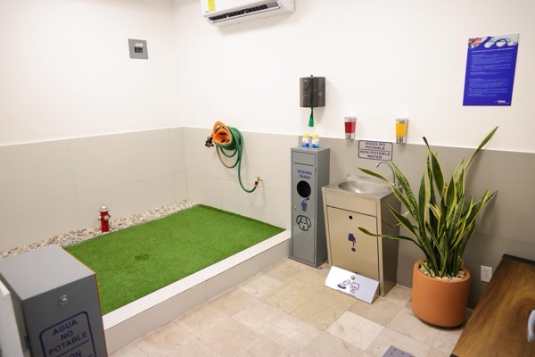 zona-dog-Friendly-aeropuerto-ixtapa-zihuatanejo.jpeg zona-dog-Friendly-aeropuerto-ixtapa-zihuatanejo.jpeg