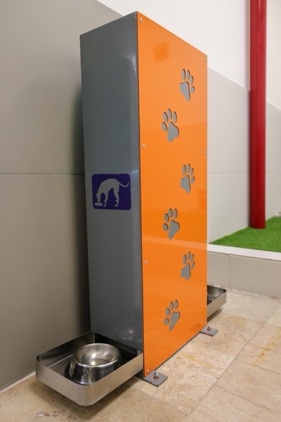 zona-dog-Friendly-aeropuerto-ixtapa-zihuatanejo.jpeg zona-dog-Friendly-aeropuerto-ixtapa-zihuatanejo.jpeg