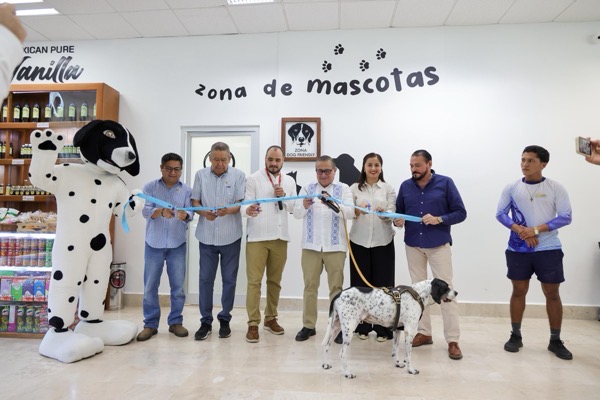 zona-dog-Friendly-aeropuerto-ixtapa-zihuatanejo.jpeg zona-dog-Friendly-aeropuerto-ixtapa-zihuatanejo.jpeg