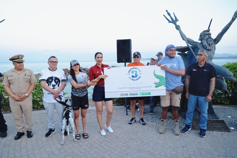 Brazada-por-las-Ballenas-2026-ixtapa-zihuatanejo.jpeg
