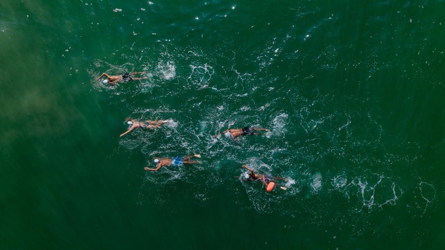 Brazada-por-las-Ballenas-2026-ixtapa-zihuatanejo.jpeg