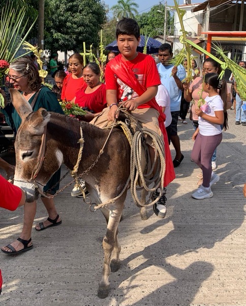 domingo-de-ramos-zihuatanejo-2026-.jpeg