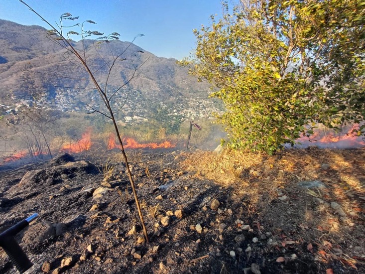 pc-bomberos-zihuatanejo-marzo-incendio-2026.jpeg