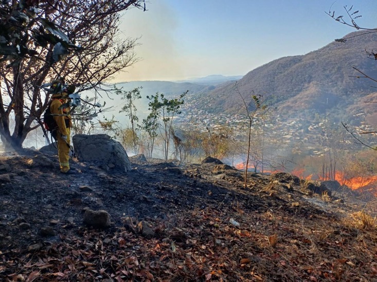 pc-bomberos-zihuatanejo-marzo-incendio-2026.jpeg