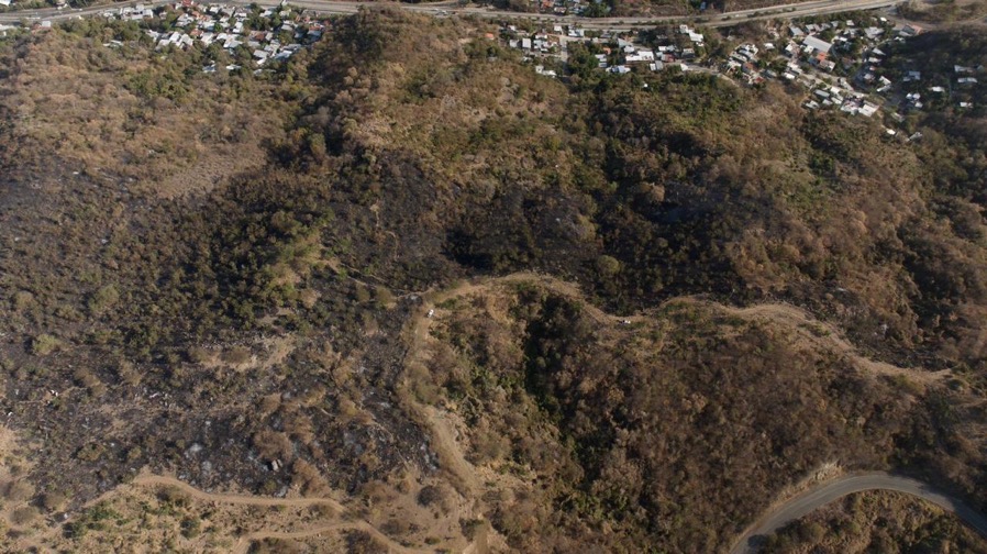 pc-bomberos-zihuatanejo-marzo-incendio-2026.jpeg