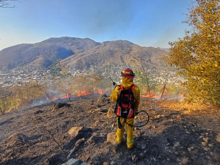 pc-bomberos-zihuatanejo-marzo-incendio-2026.jpeg