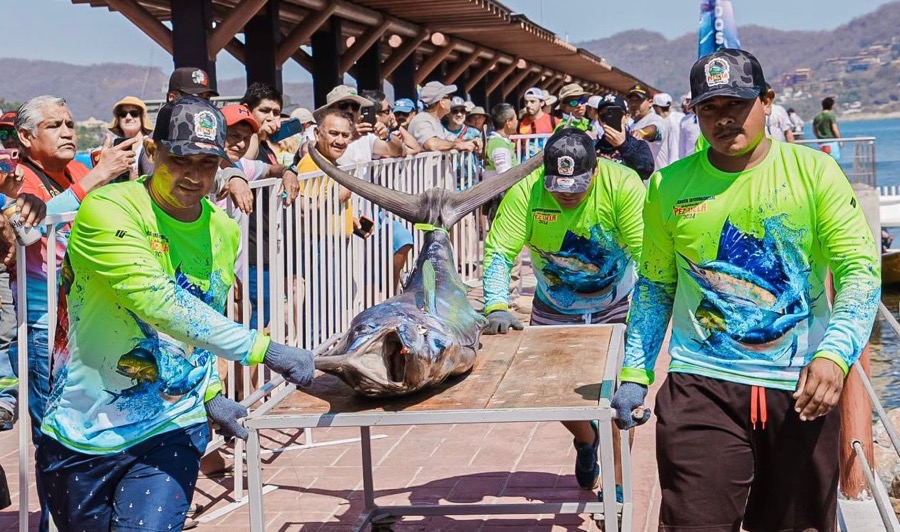 preparate-toreno-pesca-pz-vela-ixtapa-zihuatanejo-2026-.jpeg