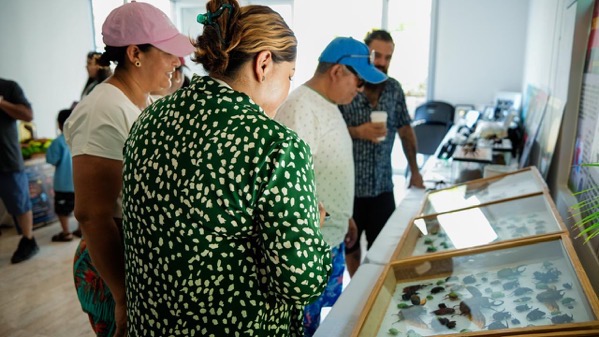 Exposicion-insectos-reptiles-el-partenon-zihuatanejo-2026-04.jpeg