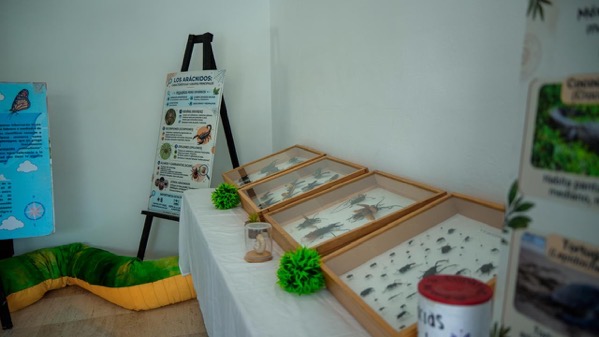 Exposicion-insectos-reptiles-el-partenon-zihuatanejo-2026-04.jpeg