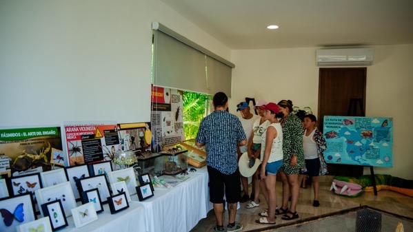Exposicion-insectos-reptiles-el-partenon-zihuatanejo-2026-04.jpeg
