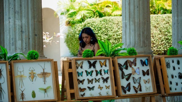 Exposicion-insectos-reptiles-el-partenon-zihuatanejo-2026-04.jpeg