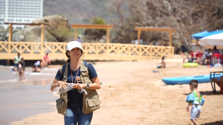 cuidado-ecositema-playas-semana-santa-zihuatanejo-2026.jpeg cuidado-ecositema-playas-semana-santa-zihuatanejo-2026.jpeg