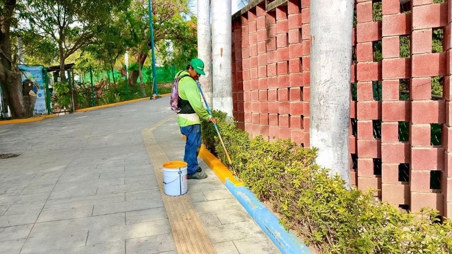 limpieza-acceso-playa-quieta-zihuatanejo-04-2026.jpeg
