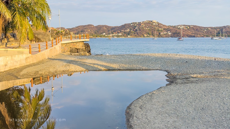 mortandad-peces-zihuatanejo-2026-abril-.jpg mortandad-peces-zihuatanejo-2026-abril-.jpg